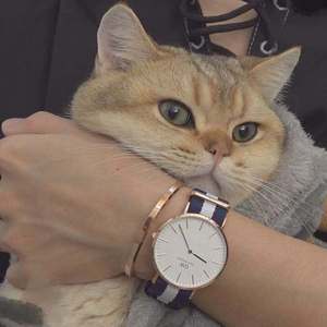 操死亚洲小女人
